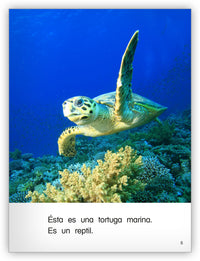 Es un reptil Leveled Book