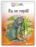 Es un reptil Big Book from Colección Caleidoscopio