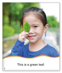 Fall Leaves from Kid Lit