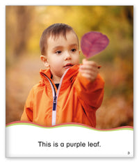 Fall Leaves from Kid Lit