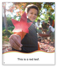 Fall Leaves from Kid Lit