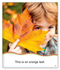 Fall Leaves from Kid Lit