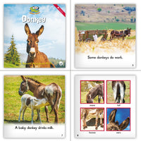 Farm Animals Theme Set