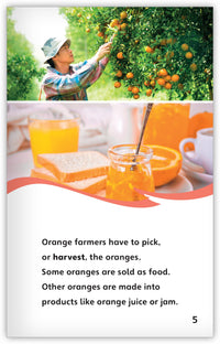 The Farmer Who Said Maybe Theme Set (6-Packs)