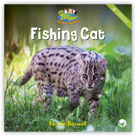 Fishing Cat from Zoozoo Animal World
