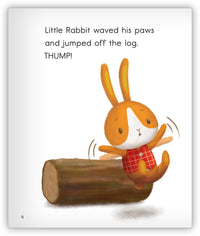 Flying Day from Joy Cowley Early Birds