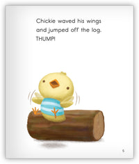 Flying Day from Joy Cowley Early Birds