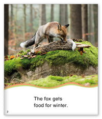 Food for Winter from Kid Lit