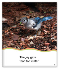 Food for Winter from Kid Lit