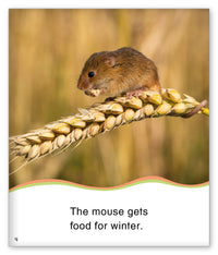 Food for Winter from Kid Lit