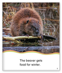 Food for Winter from Kid Lit