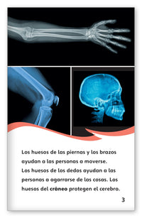 Fracturas from Fábulas y el Mundo Real