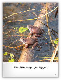 Frogs Grow Big Book
