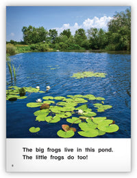 Frogs Grow Big Book