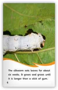 From Silkworm to Silk from Fables & the Real World