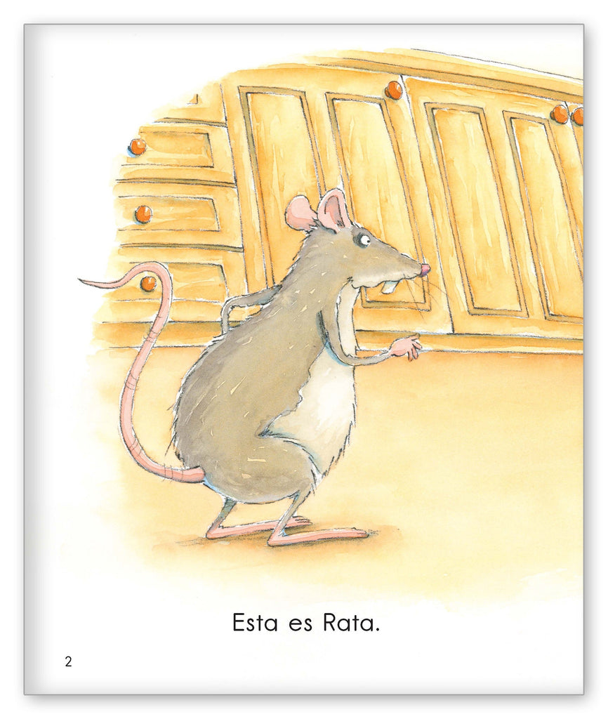 Gato y Rata - Los Pajaritos de Joy Cowley - Hameray Publishing