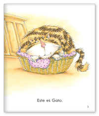 Gato y Rata from Los Pajaritos de Joy Cowley