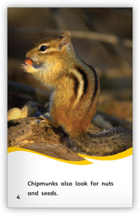 Getting Ready for Winter from Fables & the Real World