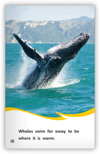 Getting Ready for Winter Leveled Book