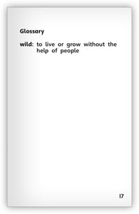 Goats on the Go from Fables & the Real World