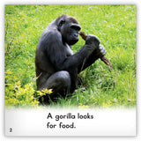Gorilla from Zoozoo Animal World