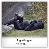 Gorilla from Zoozoo Animal World