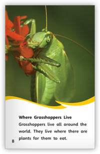 Grasshoppers from Fables & the Real World