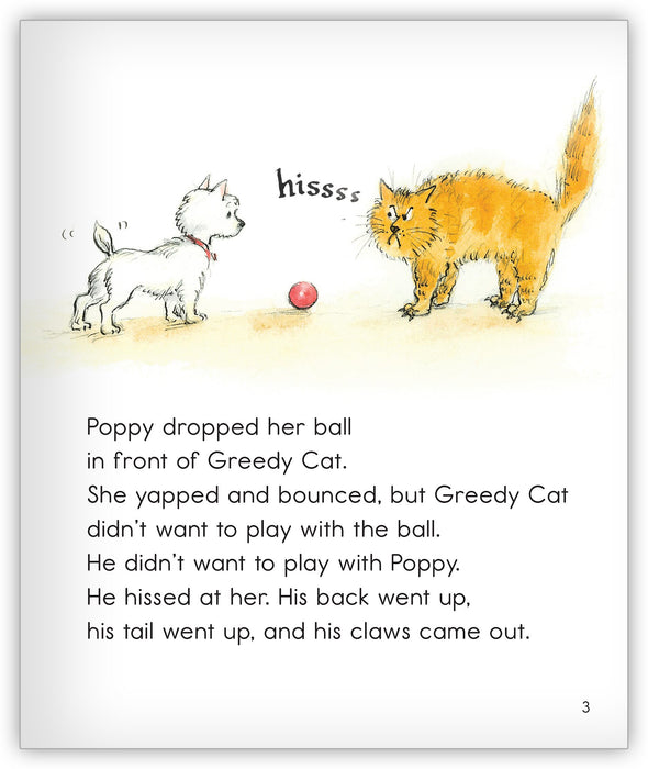 The New Cat - Joy Cowley Classics - Hameray Publishing