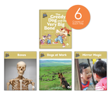 The Greedy Dog and the Very Big Bone Theme Guided Reading Set