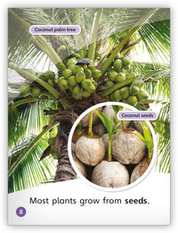 Growing Things Big Book from My World