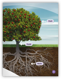 Growing Things Big Book from My World