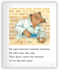 Hairy Bear and the Door from Joy Cowley Collection