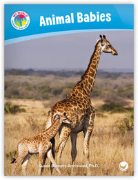 Animal Babies from My World