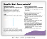 How Do Birds Communicate? from Fables & the Real World