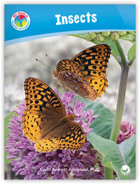 Insects from My World