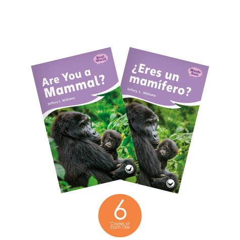 Dual Language Level J Guided Reading Set - Hameray Publishing