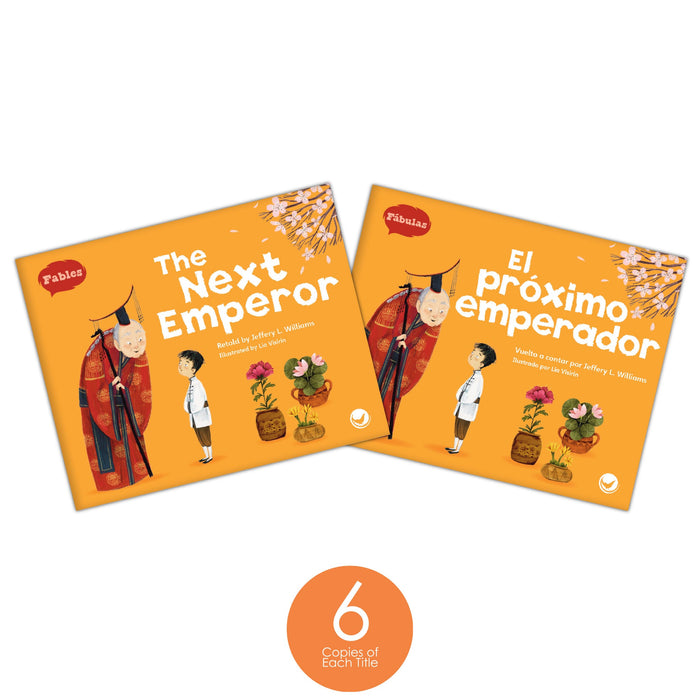 Dual Language Level L Guided Reading Set from Various Series