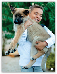 All Kinds of Friends from My World