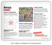 Alpaca from Zoozoo Animal World