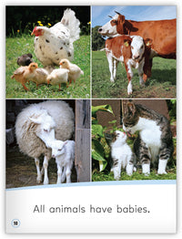 Animal Babies from My World