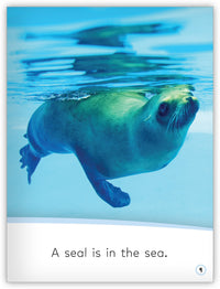 Animals in the Sea from My World