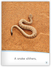 Animals Move! from My World