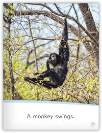 Animals Move! from My World