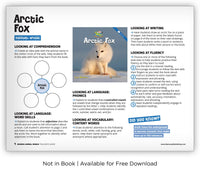 Arctic Fox from Zoozoo Animal World