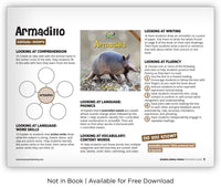 Armadillo from Zoozoo Animal World