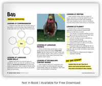 Bat from Zoozoo Animal World