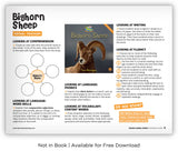 Bighorn Sheep from Zoozoo Animal World