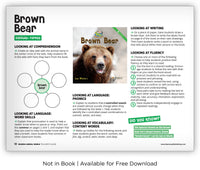 Brown Bear from Zoozoo Animal World