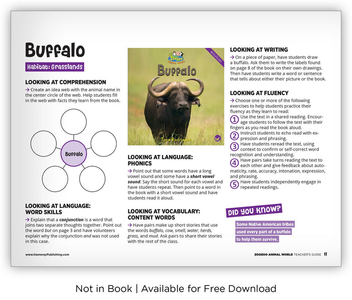 Buffalo from Zoozoo Animal World