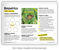 Butterfly from Zoozoo Animal World